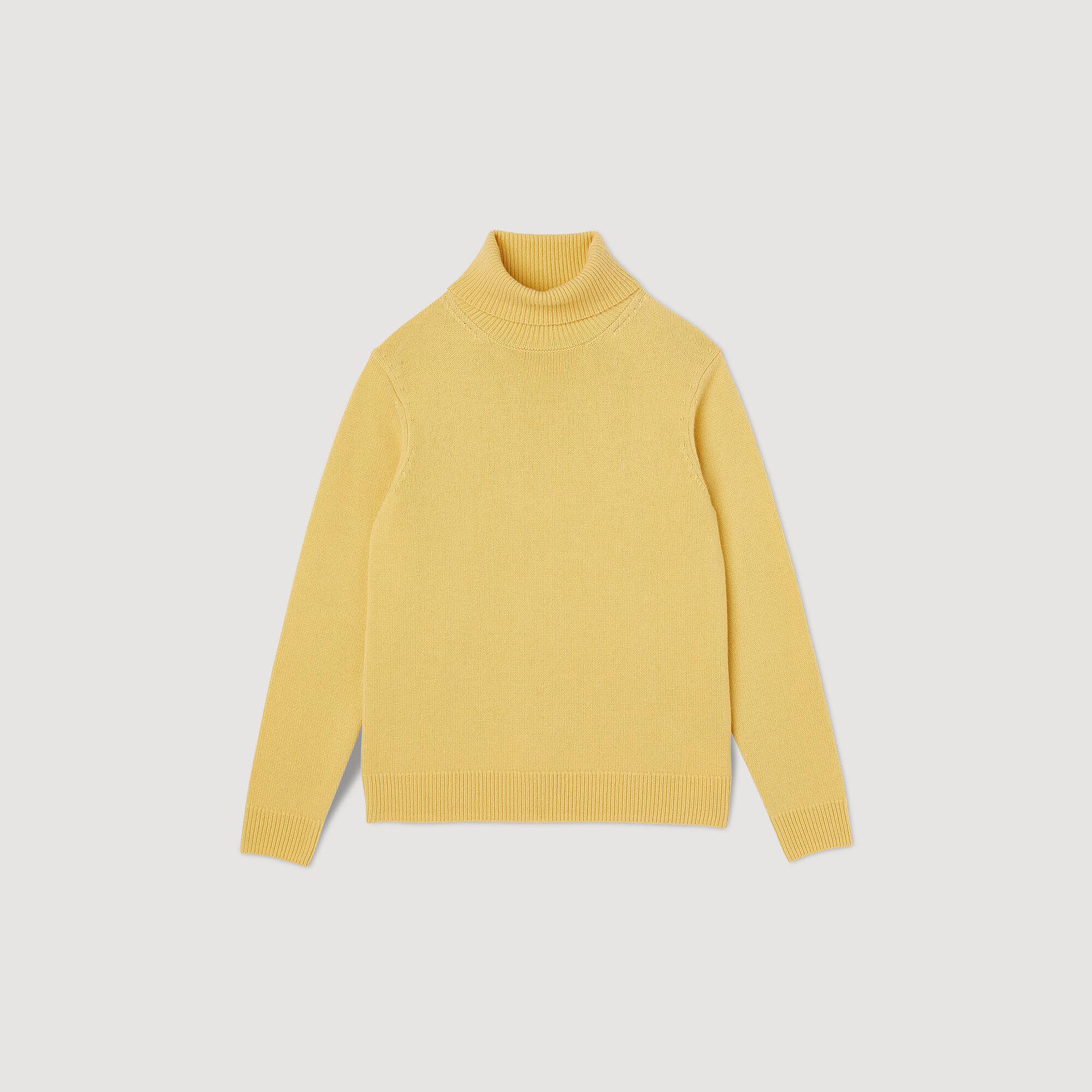 Wool and cashmere turtleneck jumper