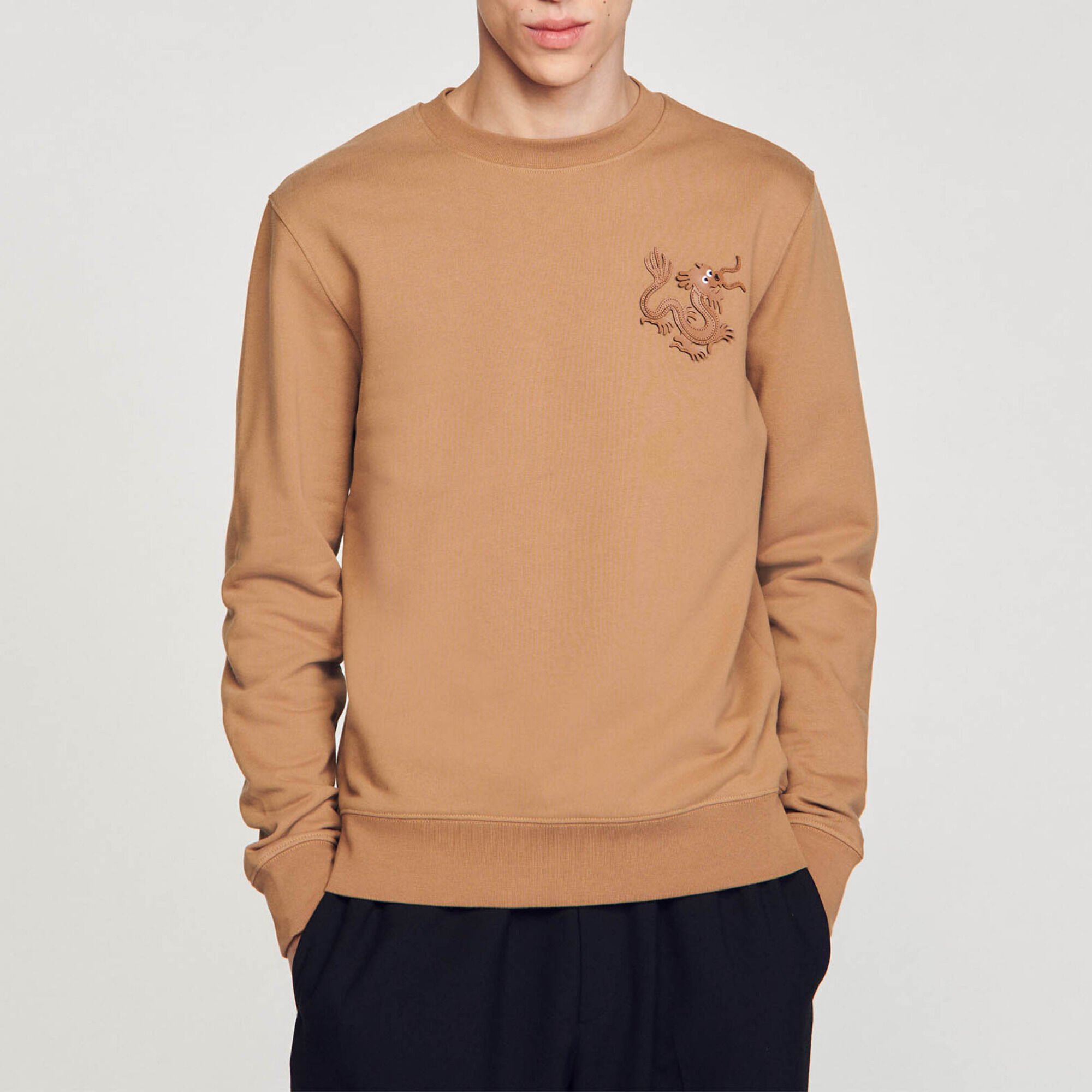 Dragon sweatshirt