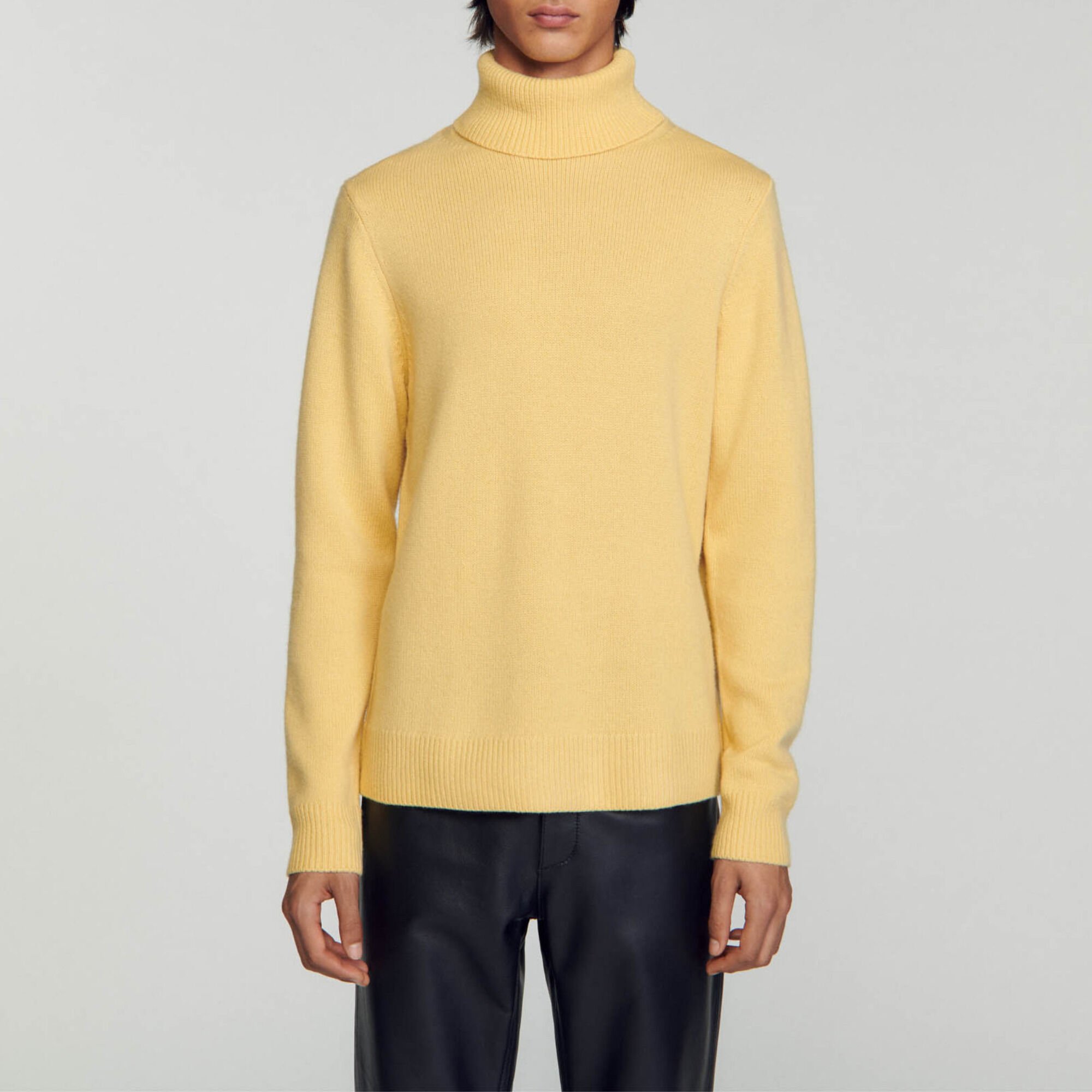 Wool and cashmere turtleneck jumper