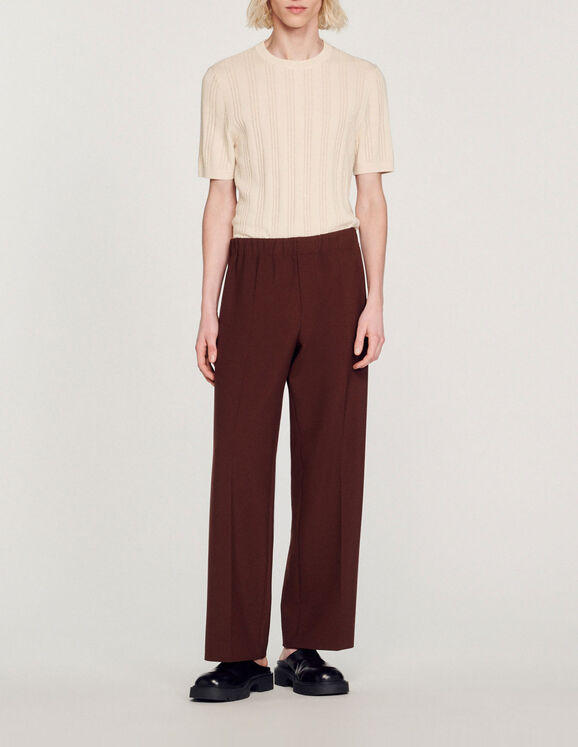 Wide-leg trousers Brown Homme